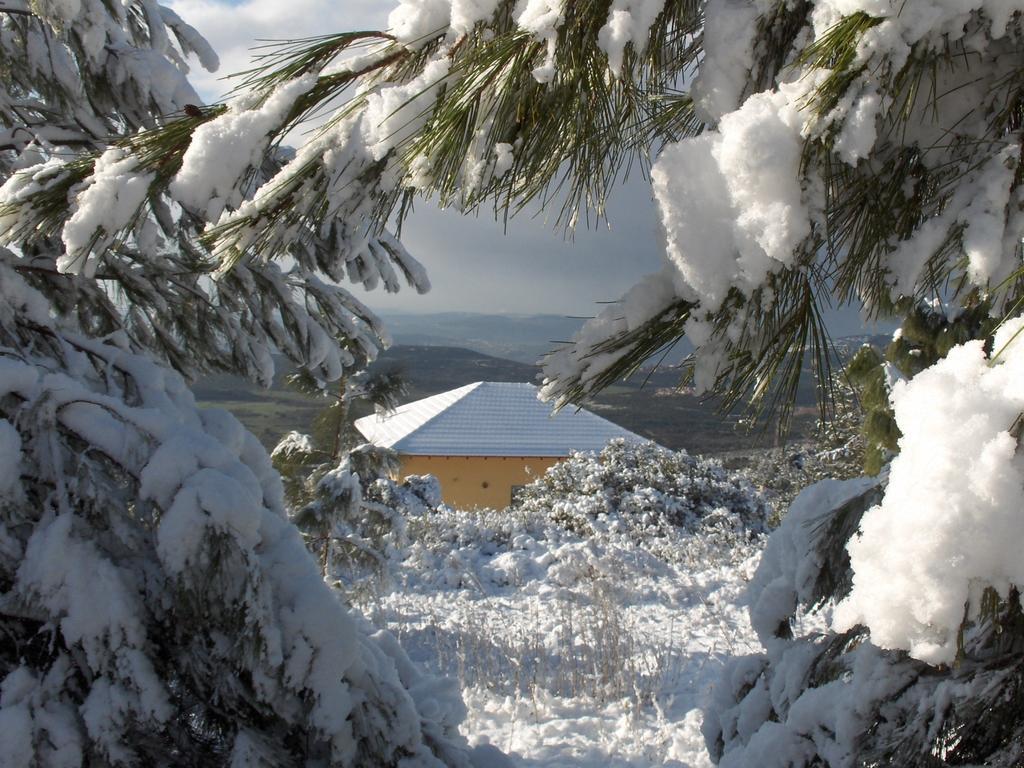 First Light Cabins أمريم المظهر الخارجي الصورة